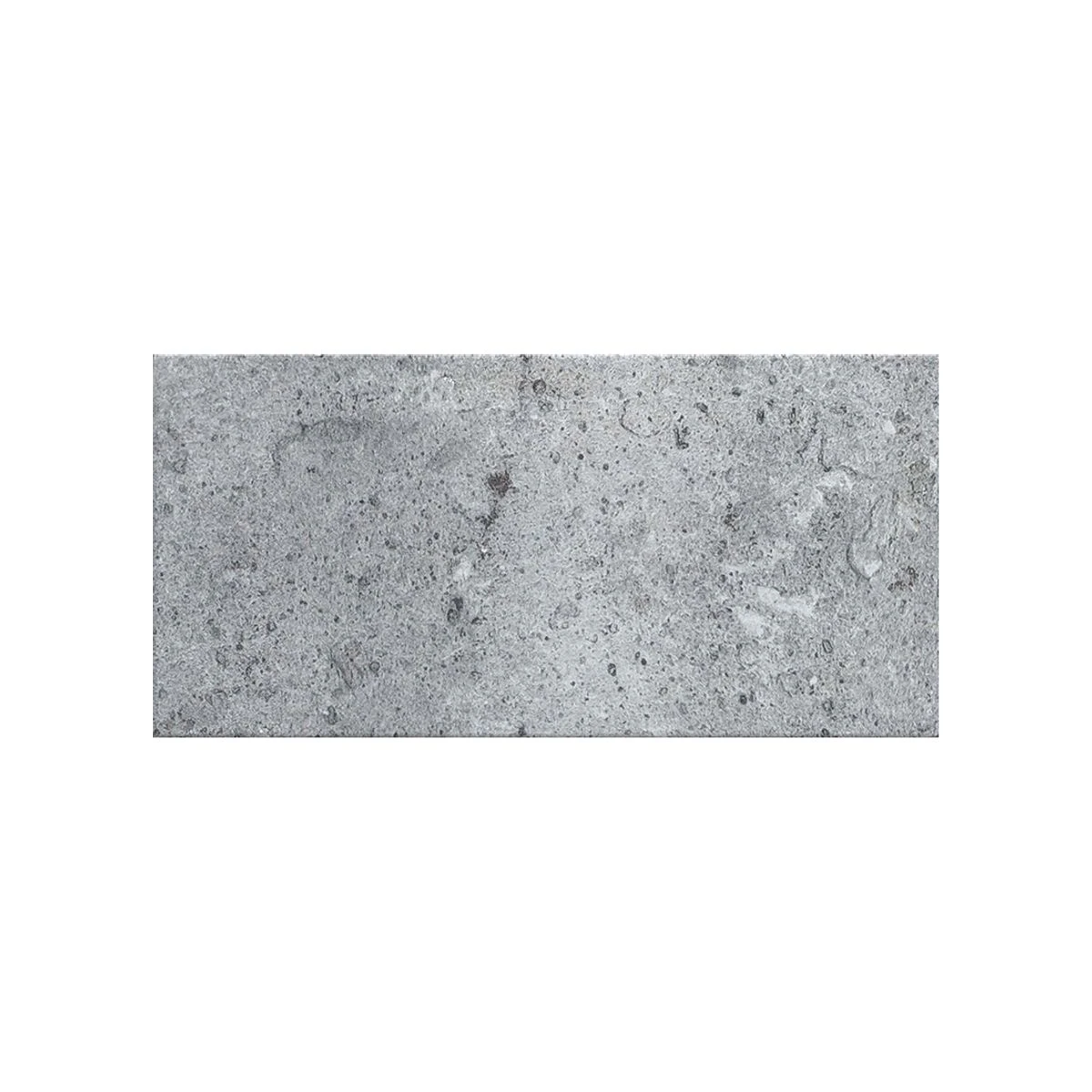 Sabaudia 125x250mm Matt matt porcelain tile