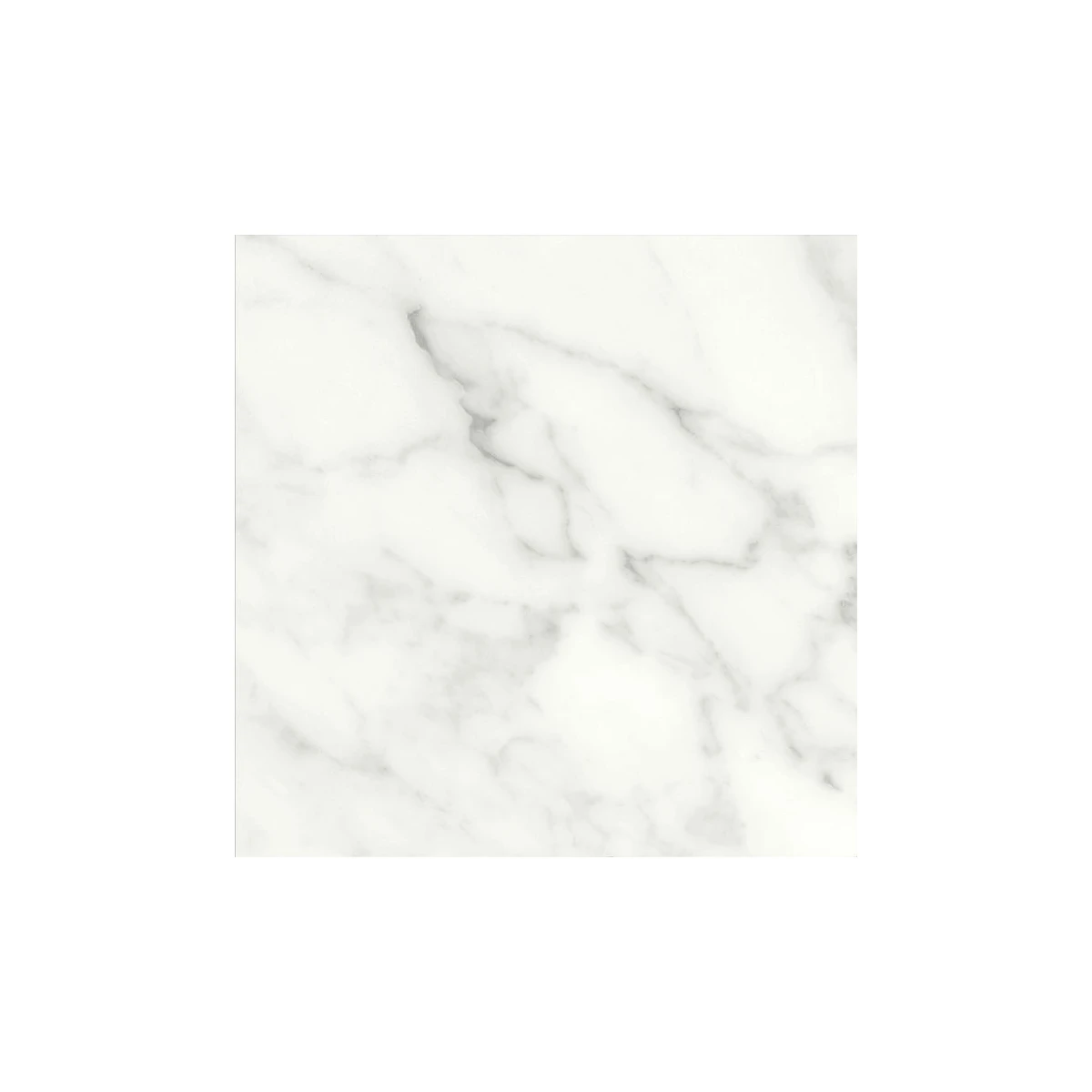 Cetara 20 Matt Calacatta White