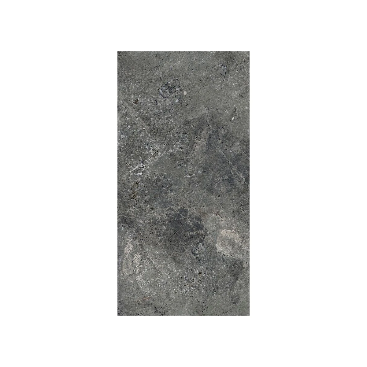 Barolo 36 Honed Charcoal honed porcelain tile