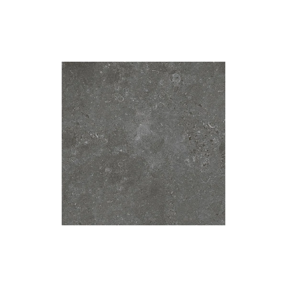 Norcia 30 Matt Charcoal matt porcelain tile