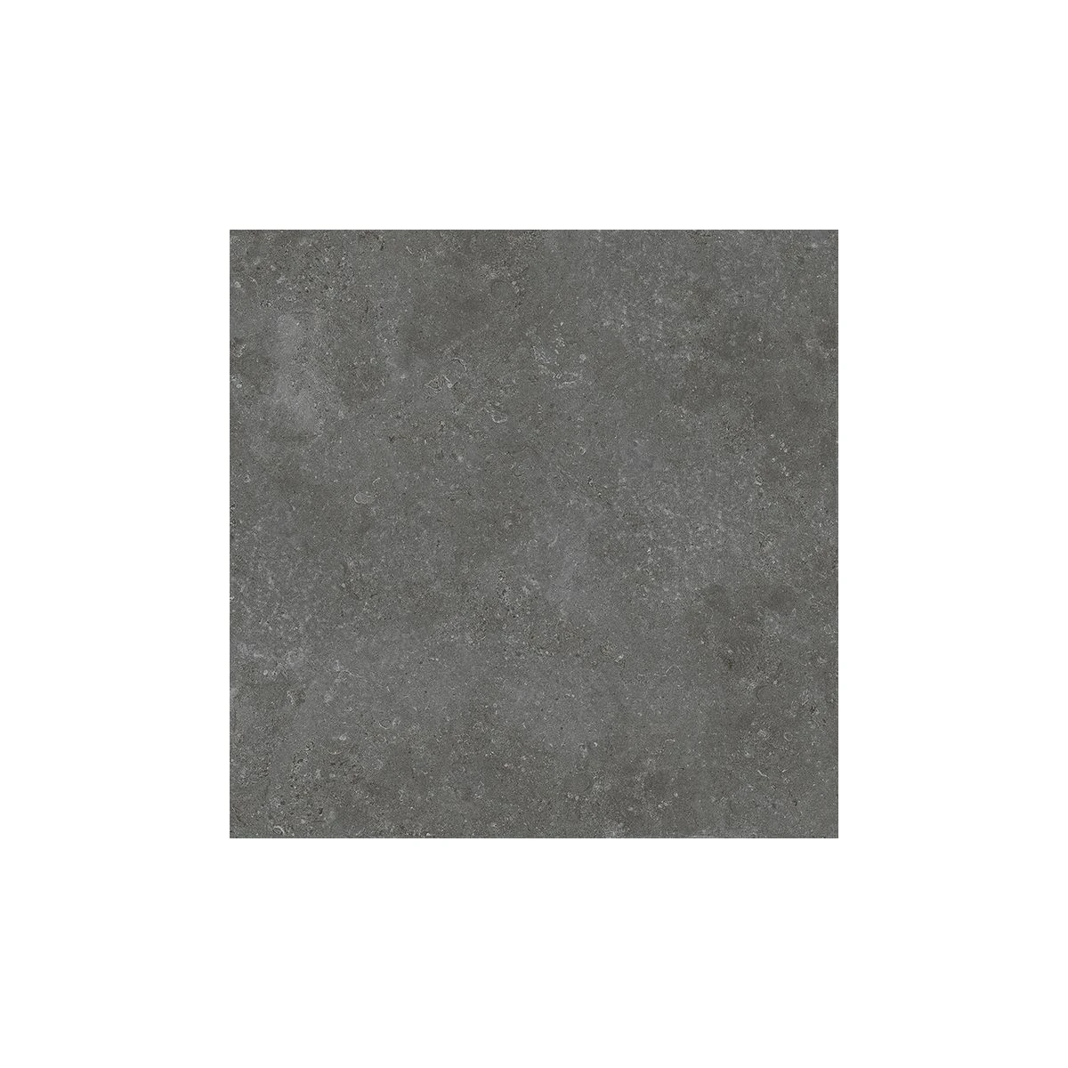 Norcia 60 Matt Charcoal matt porcelain tile