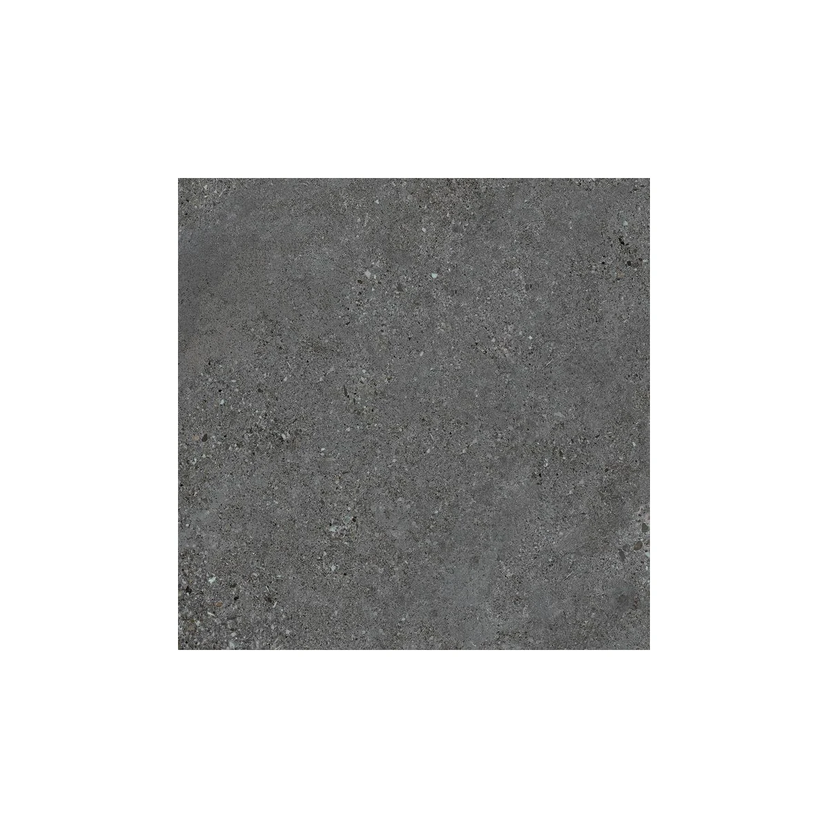 Charcoal