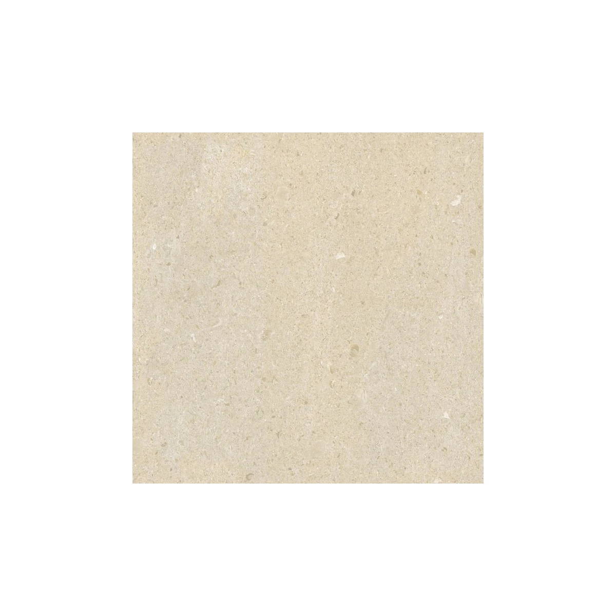 Contour Detail 60 matt porcelain tile