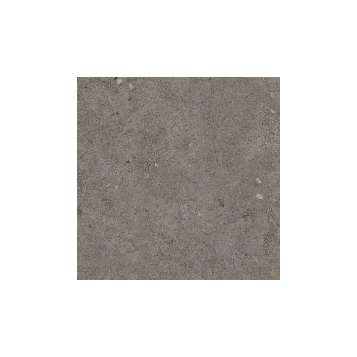 Arcadia 60 matt porcelain tile